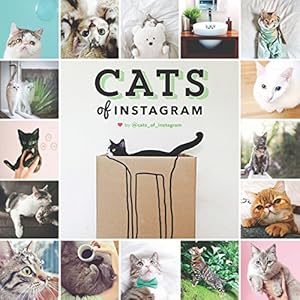 Cats on Instagram
