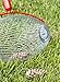 Garden Weasel 95404 Nut Gatherer, Large, Red/Silver
