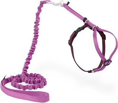 PetSafe Come With Me Kitty Harness and Bungee Leash Small Dusty Rose/Burgundy