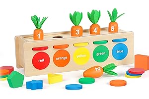 YEGEER Montessori Toys for 1 2 3 Years Old, Wooden Shape Sorter & Color Matching Box, Toddler Learning Toys for 12-18 Months for Preschool, Ideal Christmas, Birthday, Easter Gifts for Boys Girls