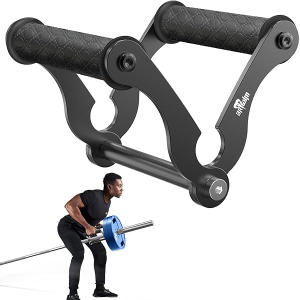 Belt Squat Vs Back Squat T Bar Row Rack Attachment Landmine For