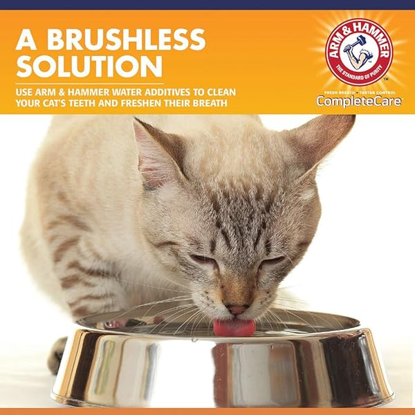 ARM & HAMMER COMPLETE CARE FRESH DENTAL WATER ADDITIVE FOR CATS – CAT DENTAL CARE SOLUTION FOR BAD BREATH, INCLUDES CAT TOOTHPASTE ENZYMATIC ACTION, IDEAL FOR CAT GROOMING SUPPLIES, 8 FL OZ