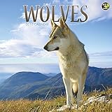 2016 Wolves Wall Calendar