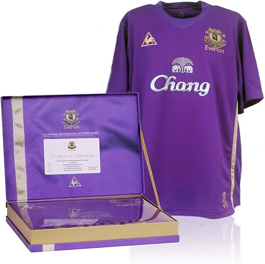 everton purple kit