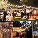 NEWPOW Outdoor String Lights 48ft with 23+2 Spare Bulbs, Shatterproof Dimmable Waterproof, LED 1W 60LM 2200K Warm Glow for Indoor/Outdoor Decoration and Lighting -Black Wire