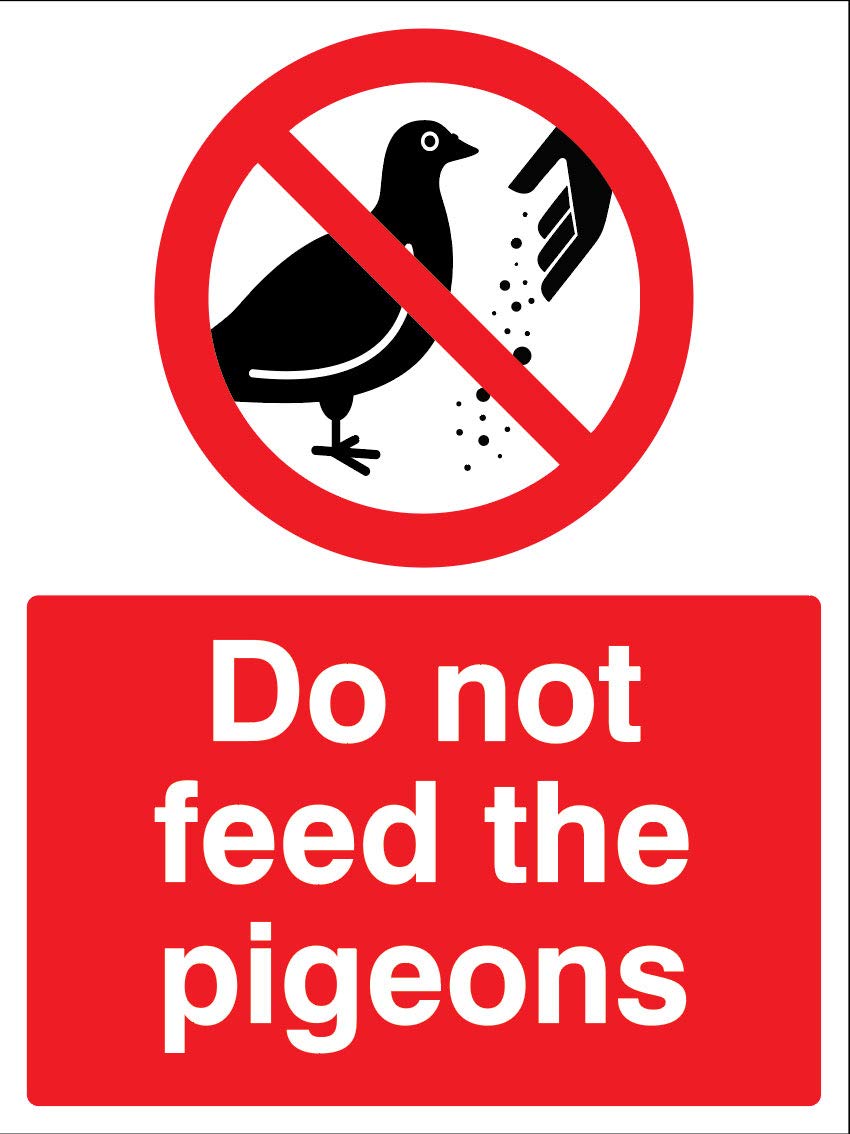 Do not feed the pigeons Rigid PVC Safety Sign