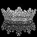 FUMUD Austrian Rhinestone Crystal Tiara Crown Peacock Bridal Hair Accessories For Wedding Quinceanera Tiara Crown Pageant Diamante Tiara (Silver)