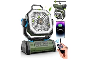 Spopal Camping Rechargeable Fan,Portable 20000mAh Battery Operated Fan with LED Lantern Light,Remote&Oscillating,4 Speeds,4 T