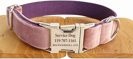 Free Free Dog Collar Svg Free