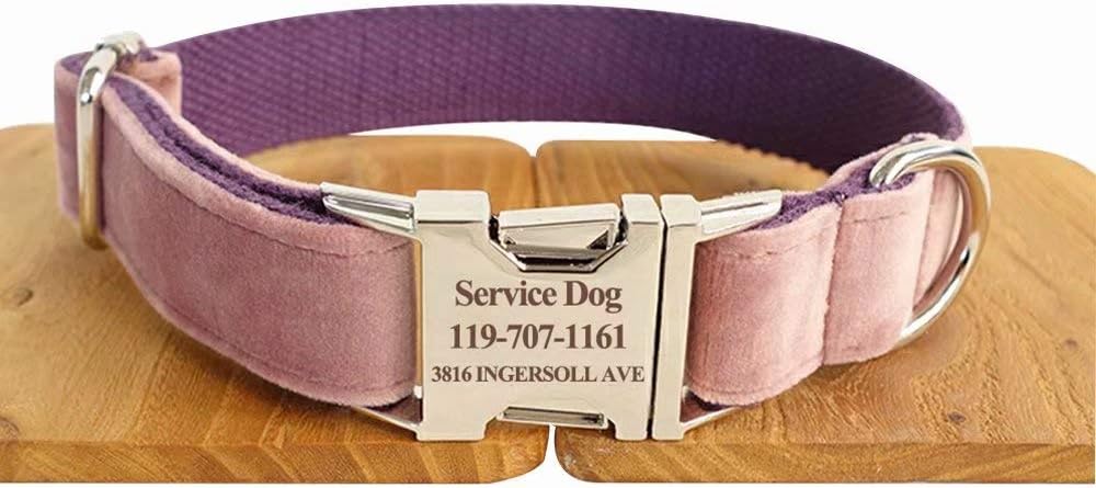 amazon dog collar with name