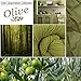 1500 Supreme Collection California King Sheet Sets Olive Green - Luxury Hotel Bed Sheets and Pillowcase Set for California King Mattress - Extra Soft, Elastic Corner Straps, Deep Pocket Sheets Olive