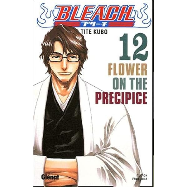 Amazon.com: Bleach - Tome 11: A star and a stray dog