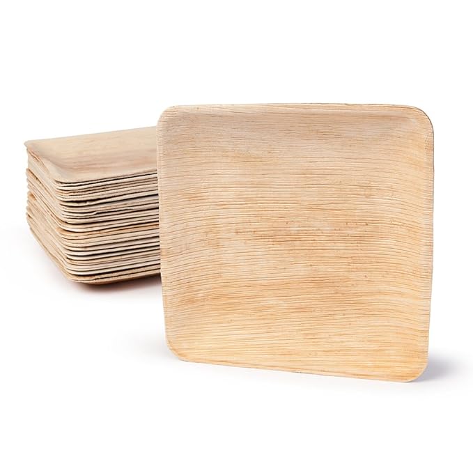 BIOZOYG DTW05359 Einwegteller aus Palmblatt, 25 Stück, eckig, 20x20 cm, kompostierbar