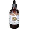 Huang Bo Tincture, Huang Bo, Huang Bai, Amur Cork Tree (Phellodendron Chinense) Bark Liquid Extract, Herbal Supplement 4 oz