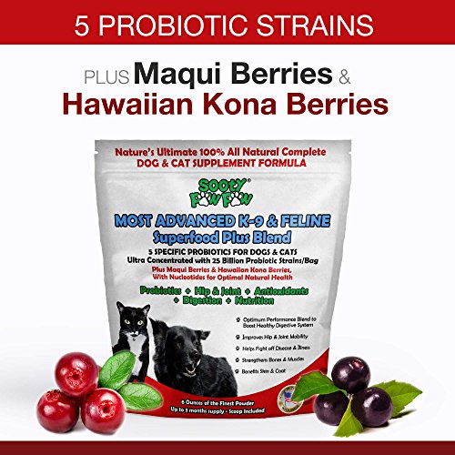 5 Specific Probiotics for Dogs &amp; Cats- Most Advanced Canine &amp; Feline Superfood Plus Blend Made in USA - Benefits Healthy Digestion, Hip and Joint, Skin and Coat, Relieves Gas, Itching, &amp; Allergies