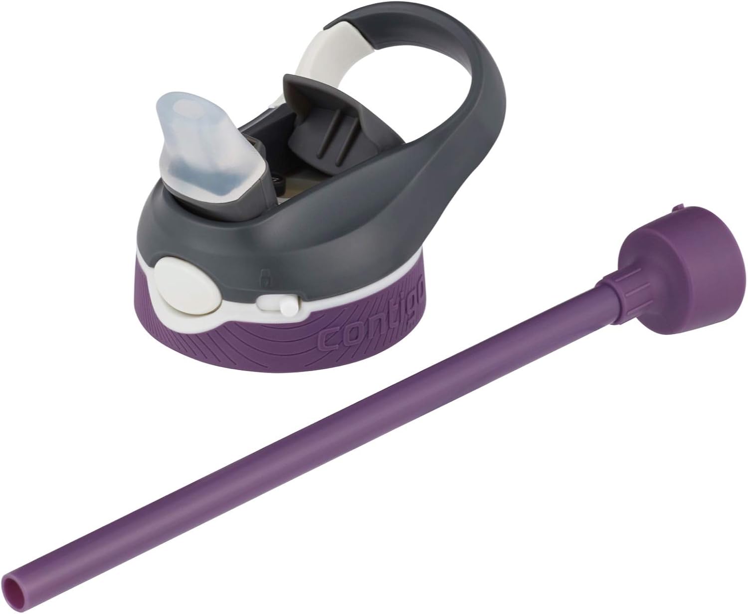 Contigo Autospout Water Bottle, 24oz, Eggplant: Kitchen & Dining