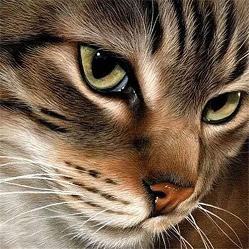 AIRDOM 5D Diamond Painting Art Kits for Adults Full Drill,Cute Cat Crystal Rhinestone Canvas Diamond Art Craft Gift for Mother AIRDOM 5D Diamond Painting Art Kits for Adults Full Drill,Cute Cat Crystal Rhinestone Canvas Diamond Art Craft Gift for Mother