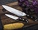 Kutt Vacuum Treated Hammered Premium VG-10 Gyutou Chef Knife, Razor Sharp 8 Inch Cooking Knife for Inch Perfect Precision, Japanese Damascus stainless steel, German Design