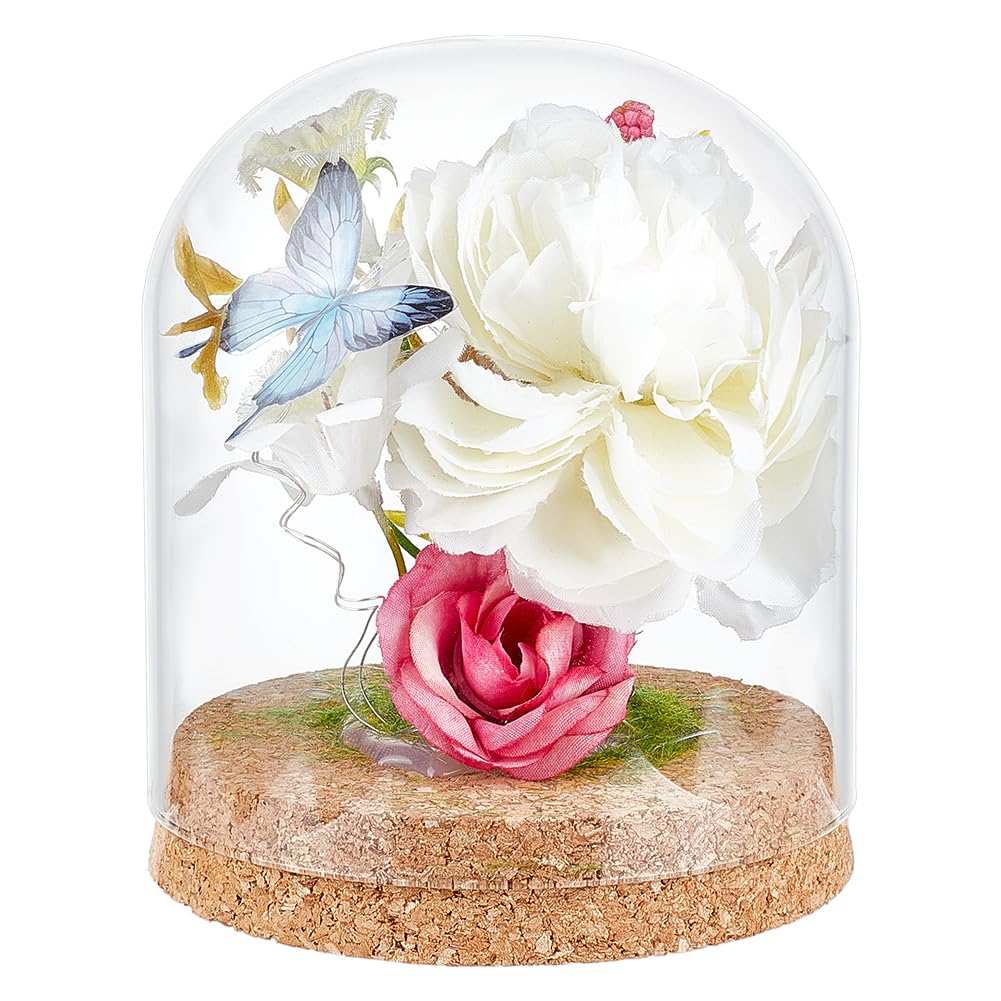 BENECREAT 125x100mm Glass Dome Decorative Jars, Glass Dome Cloche with Cork Base, Bell Glass Jars for Flower Specimens Home Decor DIY, Inner Diameter: 96mm