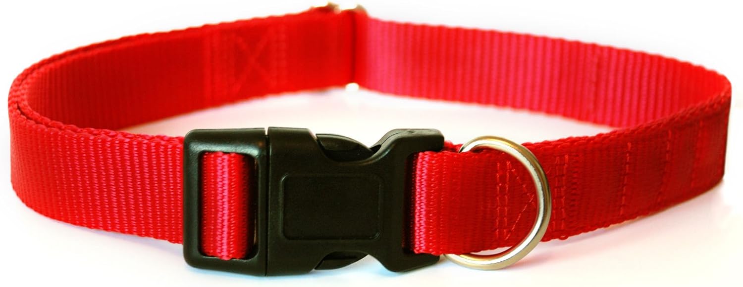 Canine Therapy Dog Collar Red (Medium (36 56cm