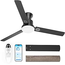 Obabala 60" Ceiling Fan with Remote, LED
