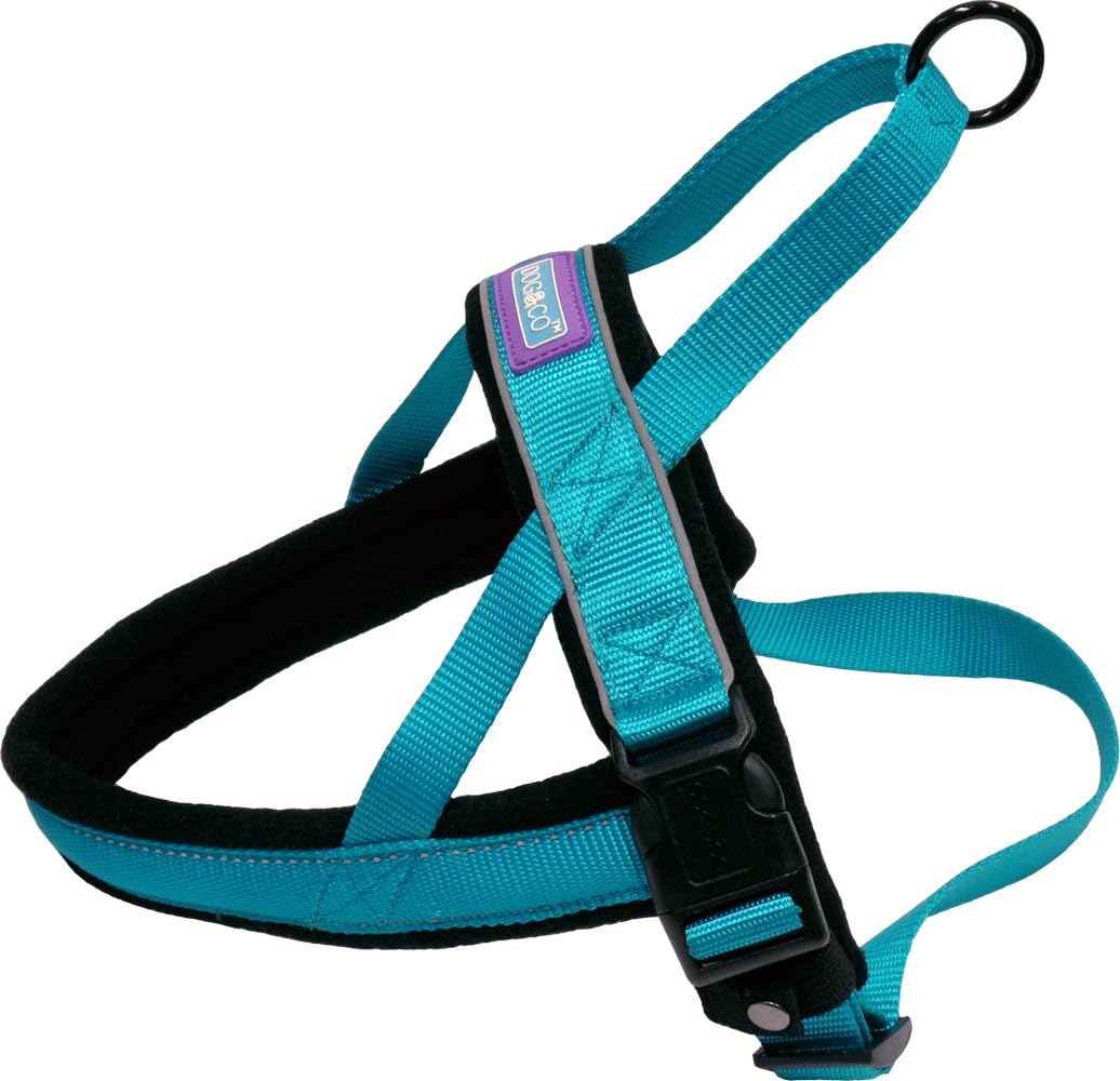 DOG & CO Norwegian Performance Harness, Medium, Aqua Amazon.co.uk Pet