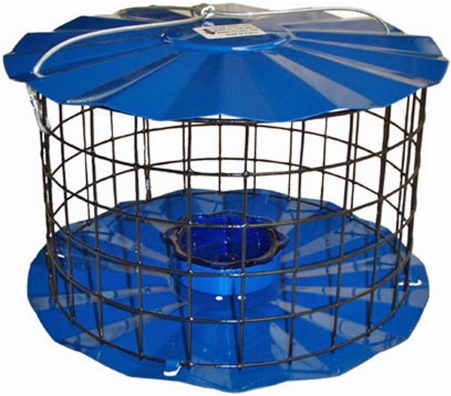 Amazon Com Erva Bluebird Feeder Includes Meal Worm Cup