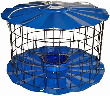 Amazon Com Erva Bluebird Feeder Includes Meal Worm Cup