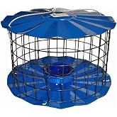 Erva Starling-Proof Barrier Guard Bluebird Feeder with Glass Mealworm Cup - Premium Blue Powdercoat Finish - Made in USA (BBF1)