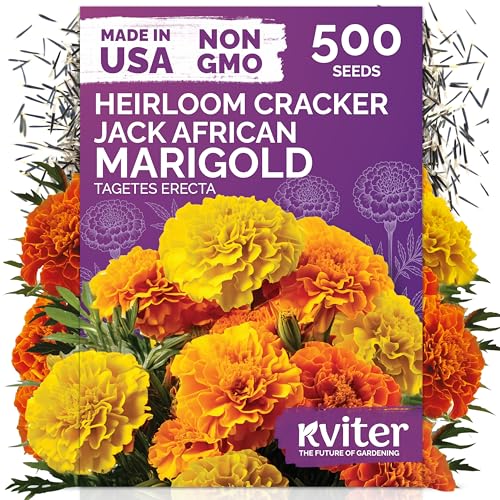 Cracker Jack Marigold Flower Seeds