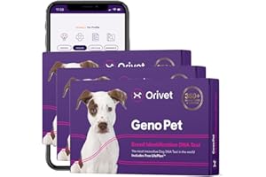 3 Pack Orivet Dog DNA Test | Genopet Dog Breed Test Kit, Genetic Testing, Heritable Health Risks and Life Plan