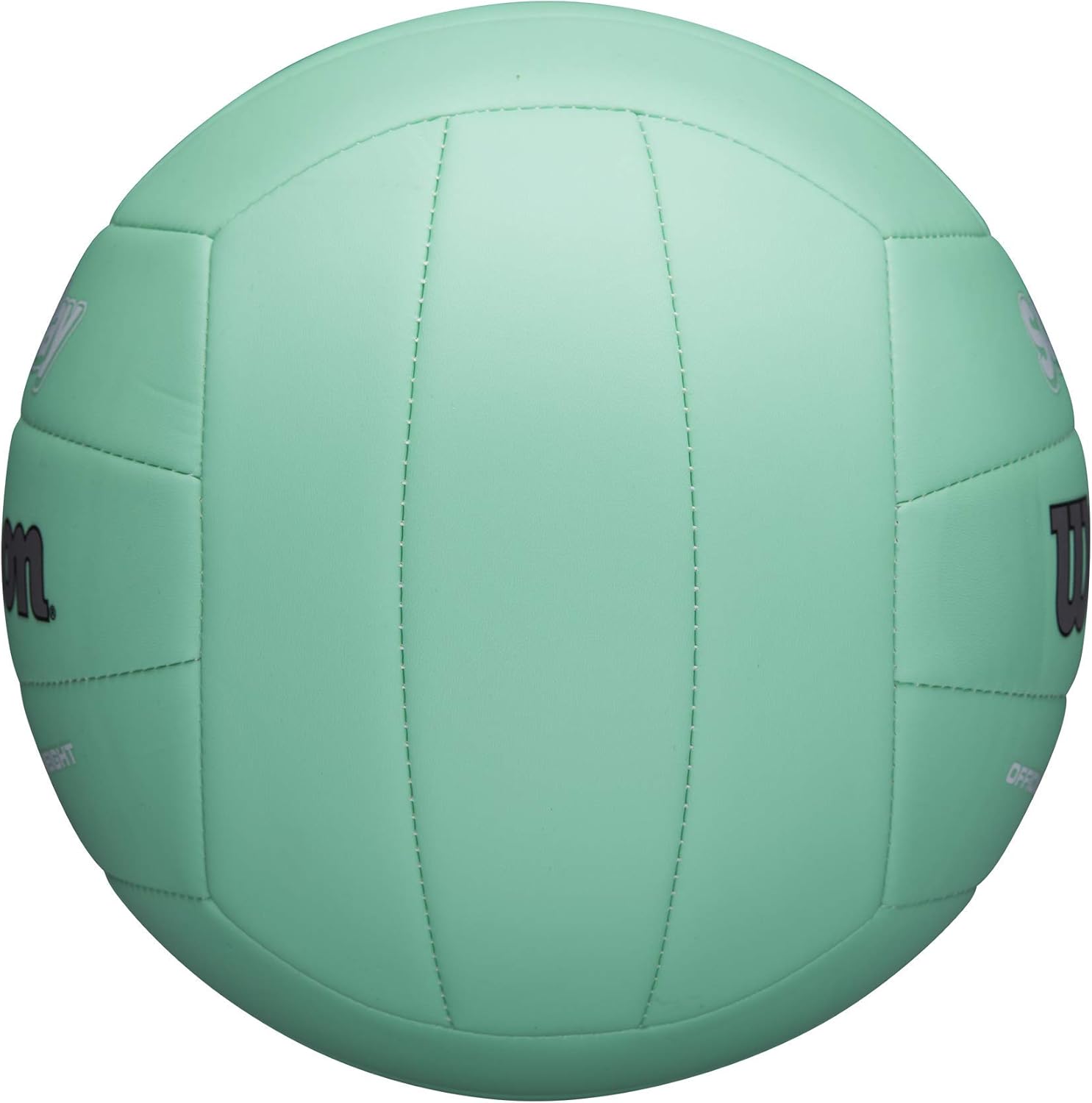 Wilson Outdoor Soft Play Volleyball (Blue) : Sports & Outdoors
