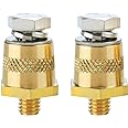 Ampper M8 Thread Male Brass Battery Terminal Charging Posts, M8 Battery Post Adapter (+/-) with Top Bolts for Extension, Pack of 2