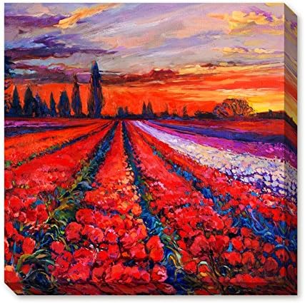 Donglin Art-Framed Oil Painting Print Landscape of Blossoms of Red and Purple Tulip in the Sunset Rosy Clouds for Home and Hotel Decor Ready to Hang (12×12 inch/ 30 ×30 cm)