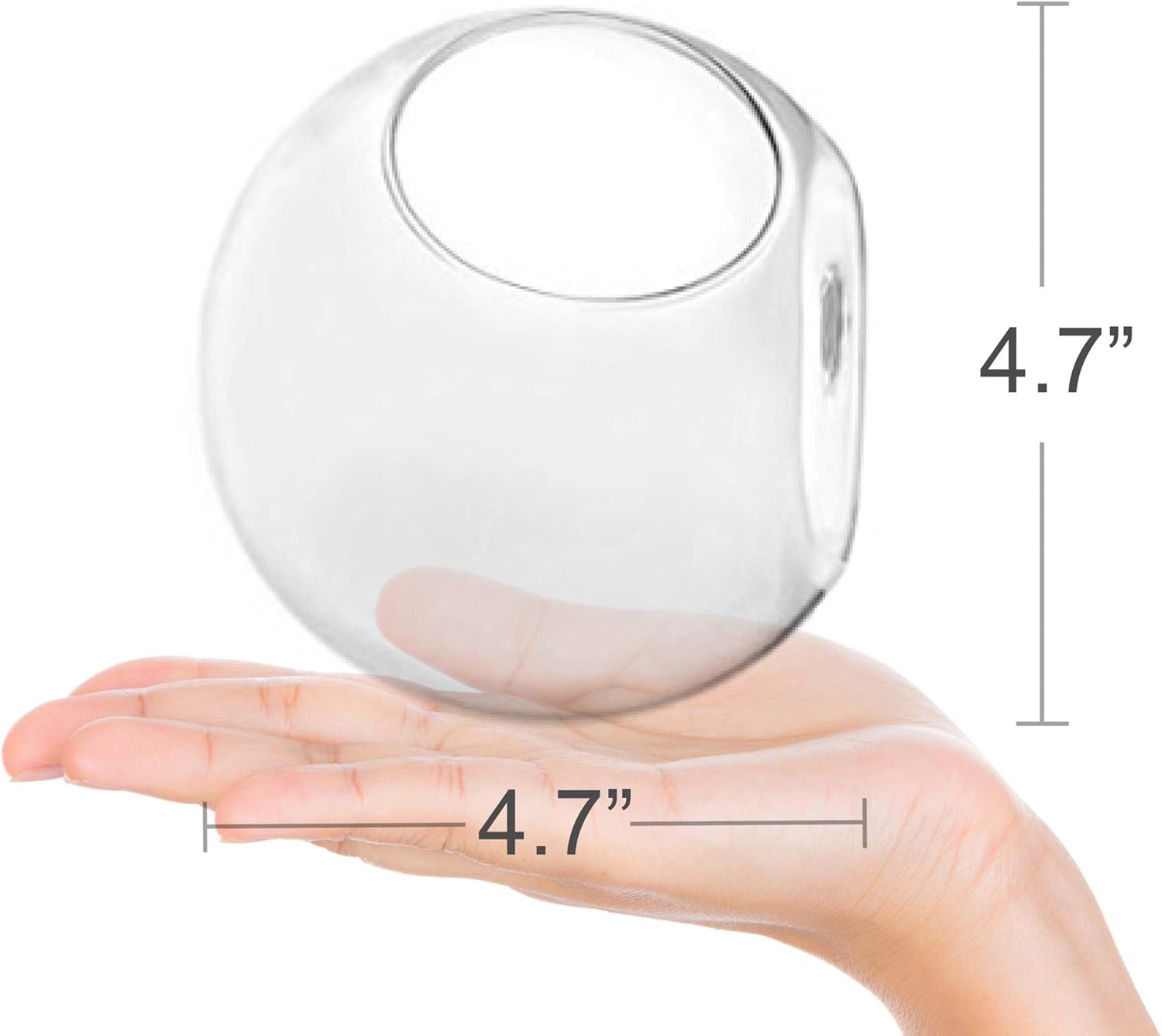 GEOLUX 6-Pack Wall Hanging Planters Glass Terrariums - Round Air Plants Wall Containers Succulents Globe Orbs (4.7 x 4.7 Inches): Pet Supplies