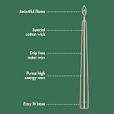 Bolsius Tapered Candles Dark Red 8-Pack 24.5 cm Unscented Vegan Wax view 3