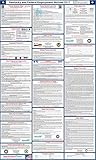 2019 Kentucky State and Federal Labor Law Poster - Laminated 27