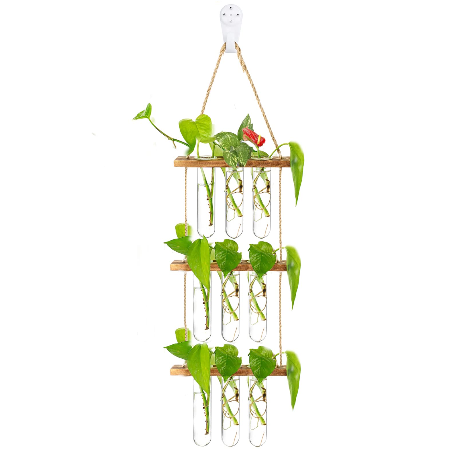 EylKoi Propagation Stations Wall Hanging Brown Wood, Propogation Planters Lovely, Plant Terrarium with Wooden Stand with 9 Test Tubes for Home Office Table Hydroponic Plants Flowers Centerpiece