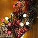 BOHON Christmas Lights Outdoor 24FT 70 LED G15 Multi Color Globe Christmas String Lights with Green Wire for Indoor Patio Xmas Tree Garland Decorations, Waterproof UL Certified (Red and Warm White)
