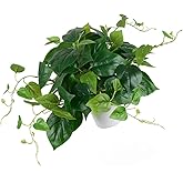 Artificial Pothos Plant with Plastic Pot - Fake Indoor Faux Plant for Home Office Decor 1 Pack