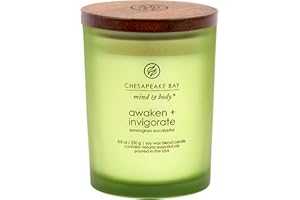Chesapeake Bay Candle PT40886 Scented Candle, Awaken + Invigorate (Lemongrass Eucalyptus), Medium, Green, Home Décor