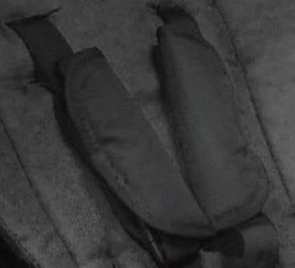 phil and teds sport v1