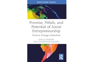 Promise, Pitfalls, and Potential of Social Entrepreneurship: Positive Change Unleashed