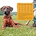 Wellness Core Tender Bites Grain Free Natural Dry Dog Food , Mixer Or Topper, Puppy, 2-Pound Bag