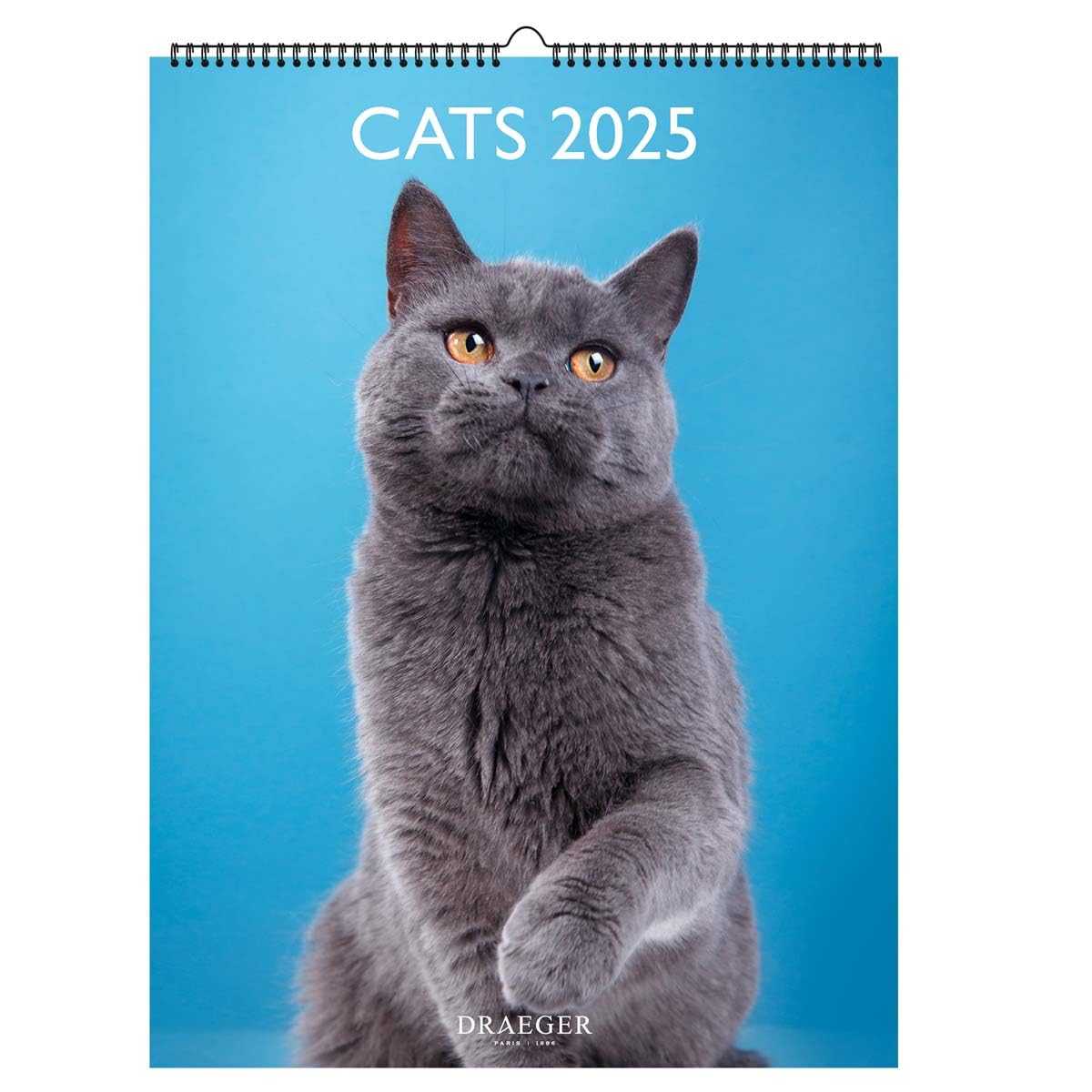 DRAEGER PARIS 1886 - Cat Wall Calendar 2025 - Large Format 29 x 39 cm - Jan-Dec - Decorative Illustrations - Original Gift Idea - FSC Paper & Vegetable Inks - Multilingual - Displayable Photos