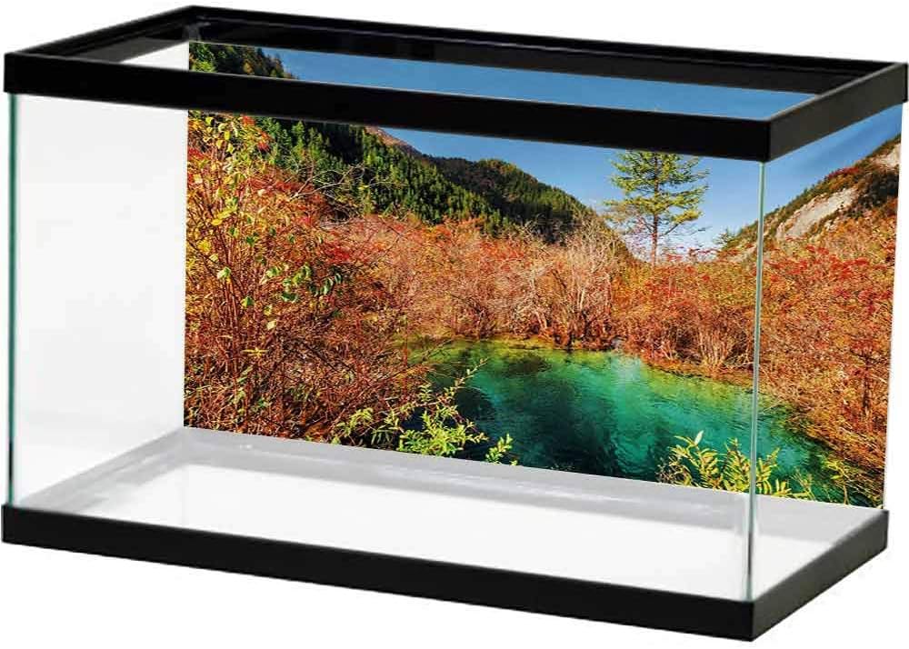 bybyhome HD Aquarium Background Nature,Grass Path Clouds Sky Serene Sun Spring Rural Country Panorama Art,Dark Blue Apple Green White Photography Background