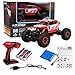 Arshiner RC Rock Crawler Monster Truck 1:18 Scale Rechargeable Battery 25KM/H High Speed 2.4Ghz 4WD Shock-Proof Off-Road Vehicle RC car Kids (Red)