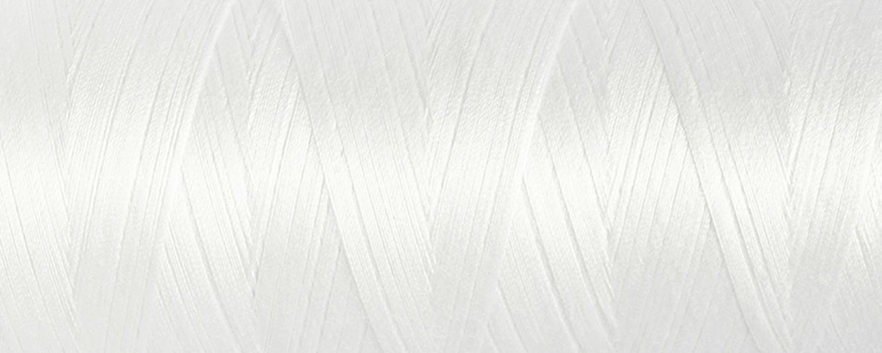 Gütermann 742279 1005 Gutermann Toldi Lock Overlocking Thread 2500m x 1 Reels, White, 12 x 5,5 x 5,5 cm