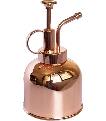 Humidificateur Facial Nano Mist Pulvérisateur Portable Hydratant