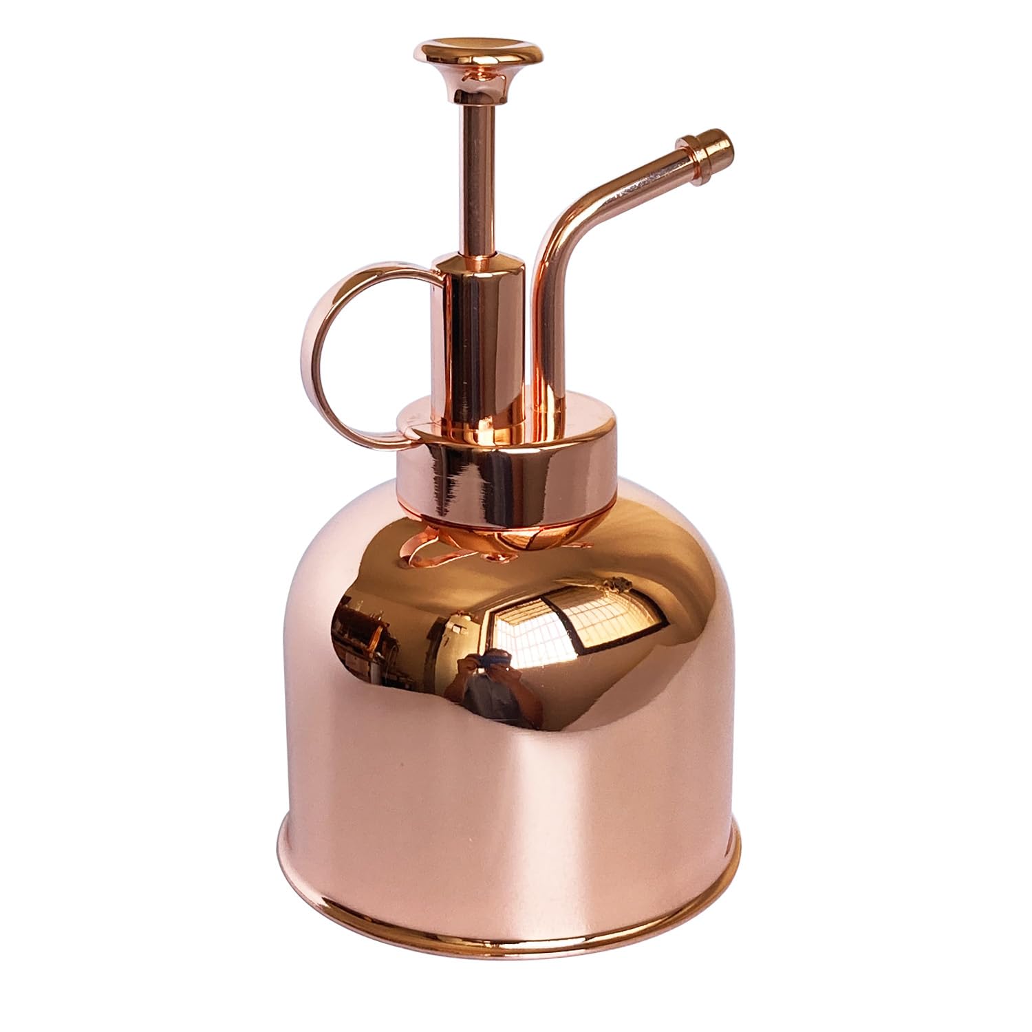 LIANSHI Stainless Steel Plant Sprayer, Small Watering Can, Plant Spray Bottle, Modern Garden Tools for Indoor Potted Plants, Watering and Spraying